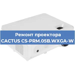 Замена лампы на проекторе CACTUS CS-PRM.05B.WXGA-W в Тюмени